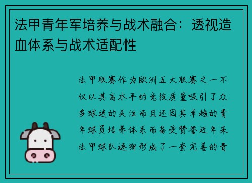 法甲青年军培养与战术融合：透视造血体系与战术适配性